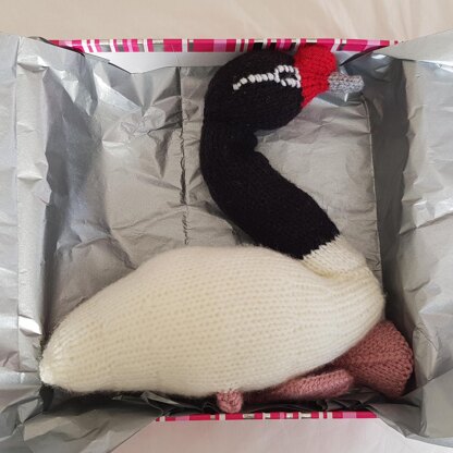 Knitted Black Necked Swan