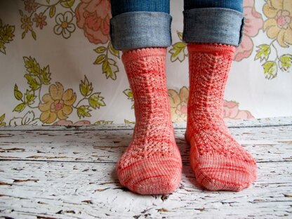 Lilybet socks