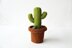 Desert Cactus Amigurumi Crochet Pattern