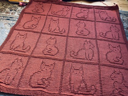 Cat Blanket