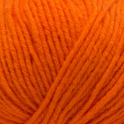Pumpkin (201441).