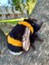 Fuzzy Bumblebee