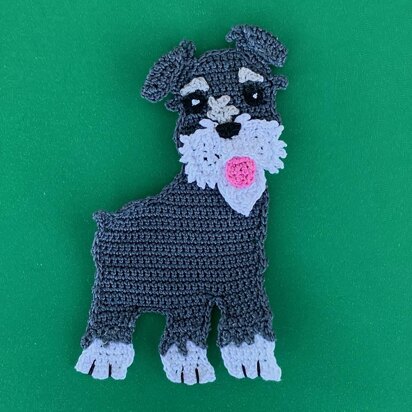 Schnauzer Dog