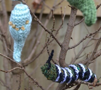 Monarch Caterpillar and Chrysallis