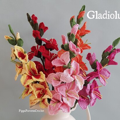 Gladiolus