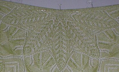 Back to the Garden Shawl