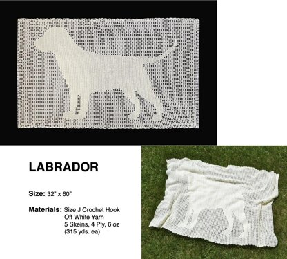 Labrador Afghan