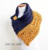 Side by side cowl