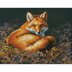 Dimensions Sunlit Fox Counted Cross Stitch Kit - 14in x 11in