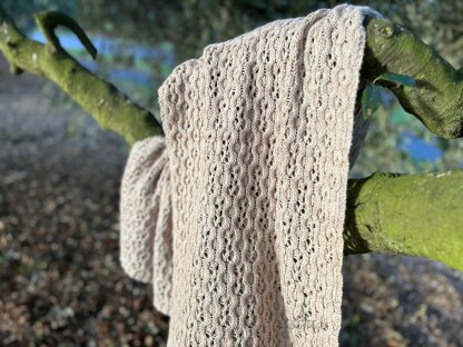 Sandstone Serenity Shawl