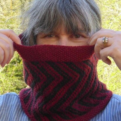 Crocodile Teeth Cowl