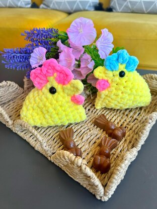 Sally The Spring Chicken