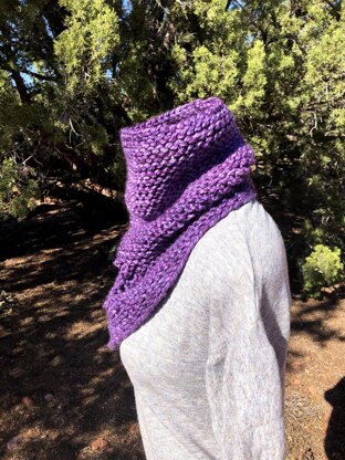 Lady Hasting Cowl