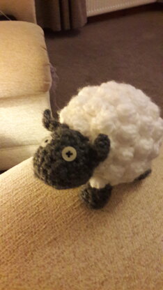 Sheep