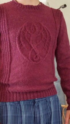 Tahesha sweater for my son #2