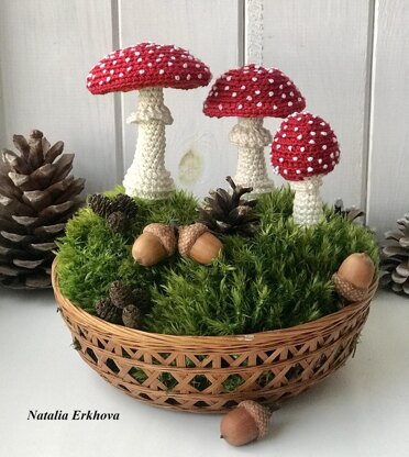 Fly agaric mushrooms