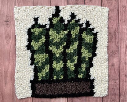 Snake Plant Blanket Square