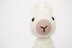 Lowri the Llama