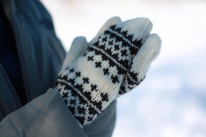 Aulavik Mittens