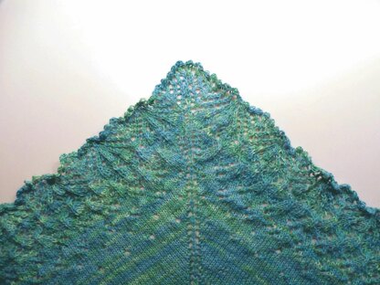 ParkLife Shawl