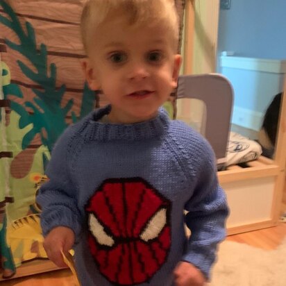 Spider Sweater