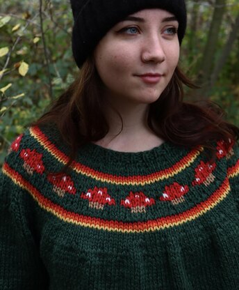 The Toadstool Sweater Adult
