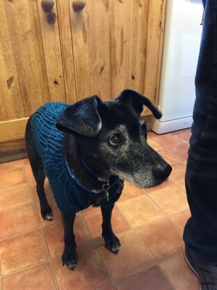 Rosie's dog jumper