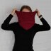 Temperate Disruptions Cowl