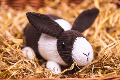 Deramores Dutch Bunnies in Deramores PDF