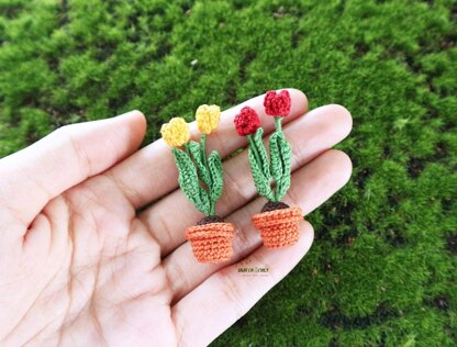 Miniature potted tulips