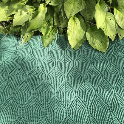 Hosta blanket