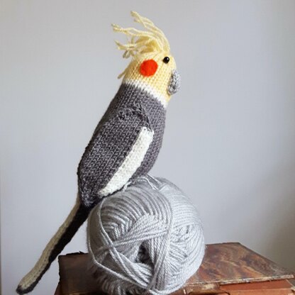 Jarvis Cockatiel