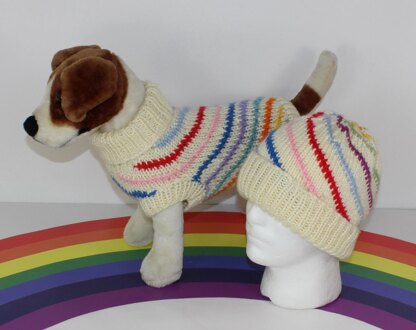 Chunky Swirl Stripe Dog Coat & Matching Beanie Hat