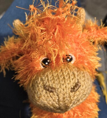 Highland Cow Choc' Orange Cosy