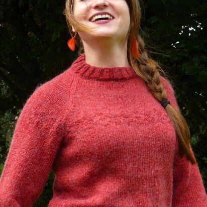 Sarah's Red jumper