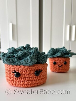 #358 Succulent Coaster Set