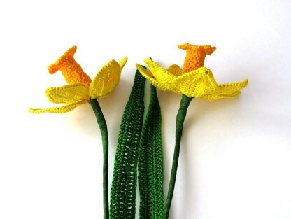 Daffodil long stem