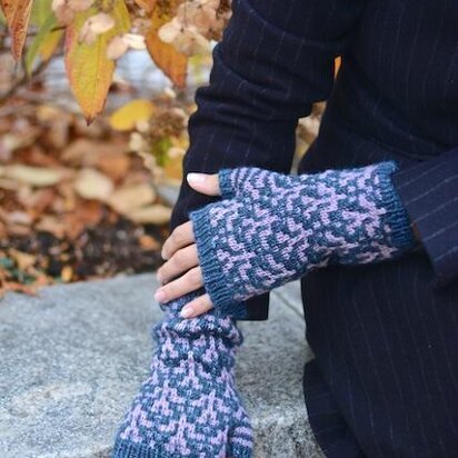 NYBG Mitts