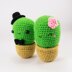 Cactus Couple Amigurumi