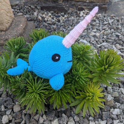 Baby Narwhal - Unicorn of the Sea