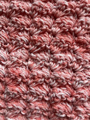 Coral Splash Dishcloth