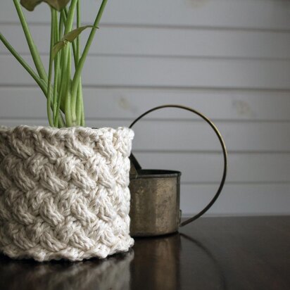 Plant Cozy : Lattice