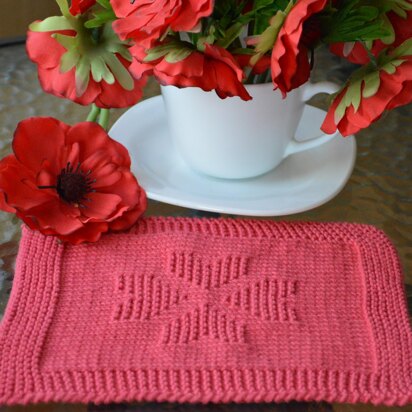 Dishcloth2