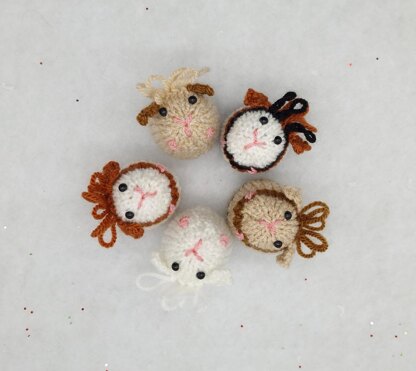 Guinea Pig Creme Egg Cosy