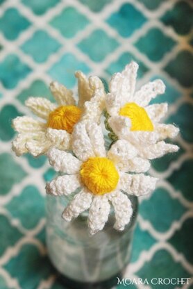 Crochet Daisy