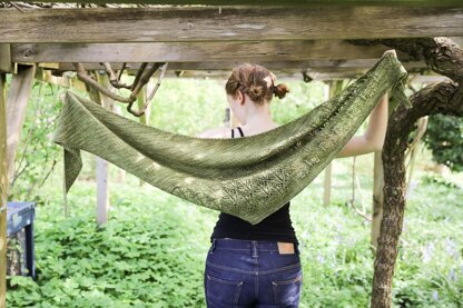 Renewal Shawl