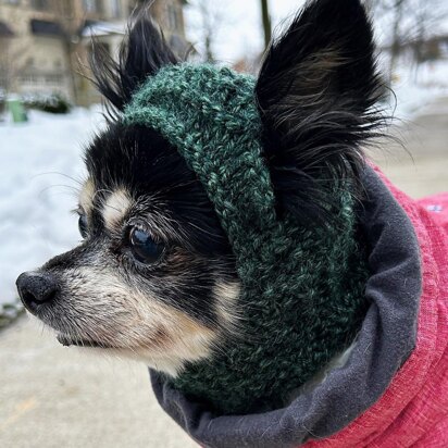 Techichi - The Chihuahua Hat - knitting pattern