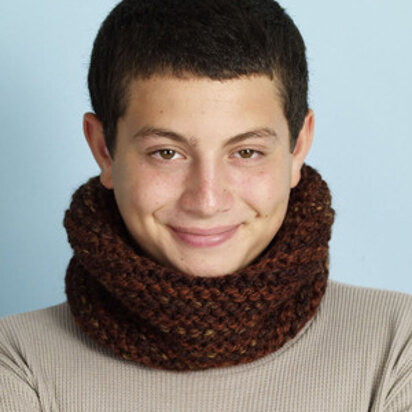 Forest Canopy Cowl in Lion Brand Wool-Ease Thick & Quick - L0540