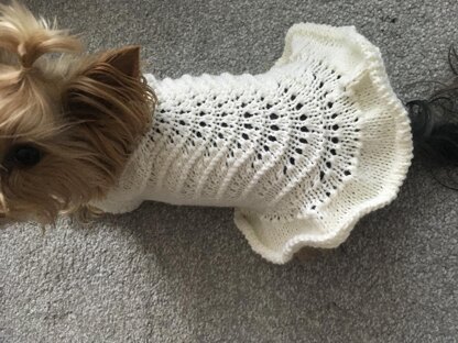 Knitted Dress for Dogs