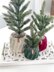 The Feathery Planter 080